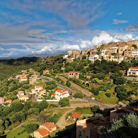 Apartment Olivadia - T2 U Sognu